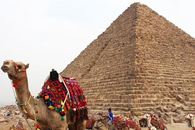 Day Tour To Cairo From Alexandria - FAQ