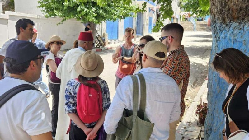 Day Tour to Chefchaouen from Fes with Local Expert - What to Expect on the Tour