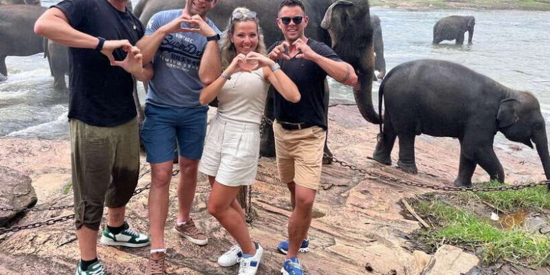 Day Tour to Elephant Orphanage / spice garden - Our Honest Take: Is It Worth It?