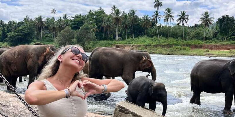 Day Tour to Elephant Orphanage / spice garden - FAQ