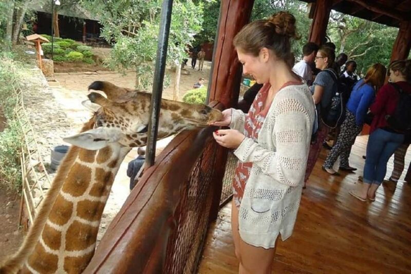 Day tour to Giraffe Center and Karen Blixen Museum - Who Will Be Perfect for This Tour?
