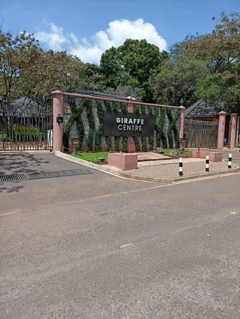 Day Tour to Giraffe Center and Karen Blixen Museum - Introducing the Day Tour to Giraffe Center and Karen Blixen Museum