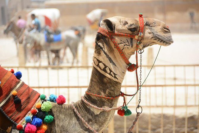 Day Tour to Giza Pyramids, Cairo Downtown, & Islamic Cairo - What’s Included and What’s Not