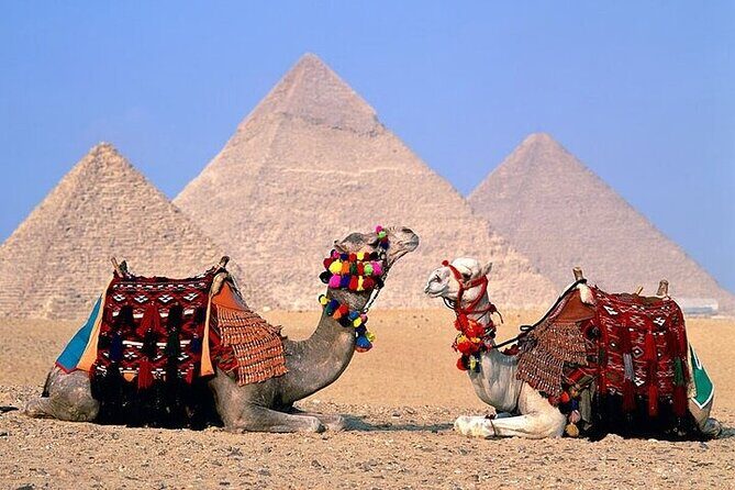 Day tour to Giza Pyramids, Memphis and Sakkara - Overview and How This Tour Stands Out