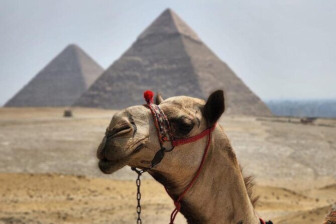 Day Tour to Giza Pyramids, Memphis City And Saqqara Pyramid - A Full Breakdown of the Tour Experience