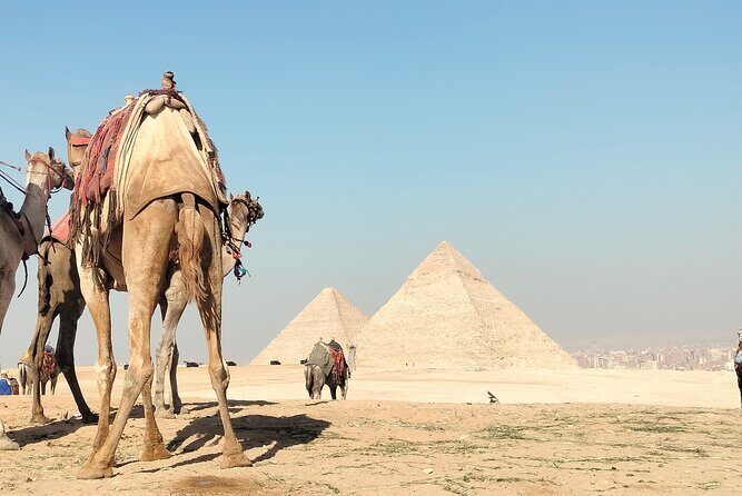 Day Tour To Giza Pyramids, Memphis City, Dahshur And Sakkara - Authentic Experience and Reviews
