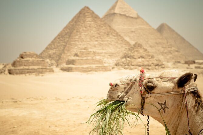 Day Tour to Giza Pyramids Memphis, Dahshur and Saqqara Pyramids - FAQs