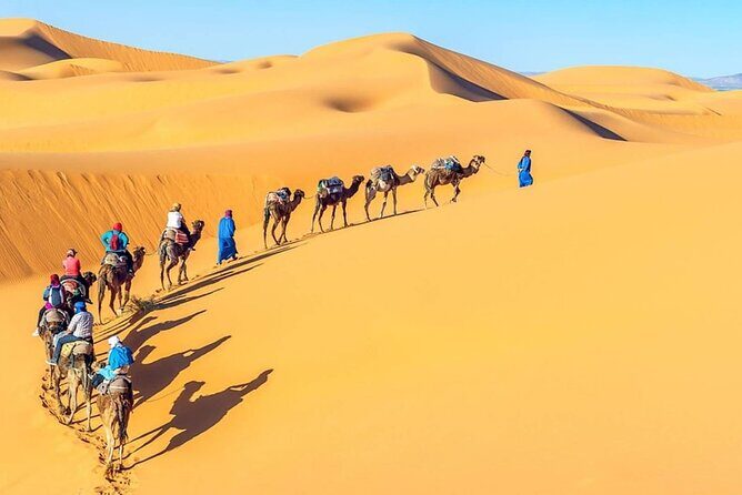 Day Tour to Giza Pyramids, Sakkara, Memphis with Lunch and Camel - Key Points