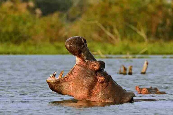 Day tour to Hells Gate, Lake Naivasha and Crescent Island Walk - Is it worth the cost?