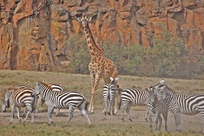 Day tour to Hells Gate, Lake Naivasha and Crescent Island Walk - Who should consider this tour?