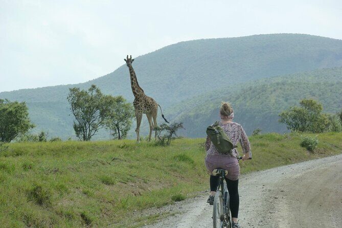 Day tour to Hells Gate, Lake Naivasha and Crescent Island Walk - The Sum Up