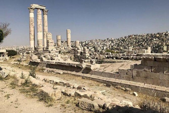 Day tour to Jerash and Ajloun Castle - Who Is This Tour Best Suited For?