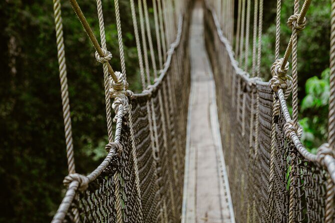 Day Tour to Kakum National Park, Cape Coast and Elmina Castle - Authentic Perspectives from Reviewers