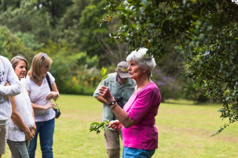 Day Tour to Kiambethu Tea Farm in Limuru - An Overview of the Kiambethu Tea Farm Tour