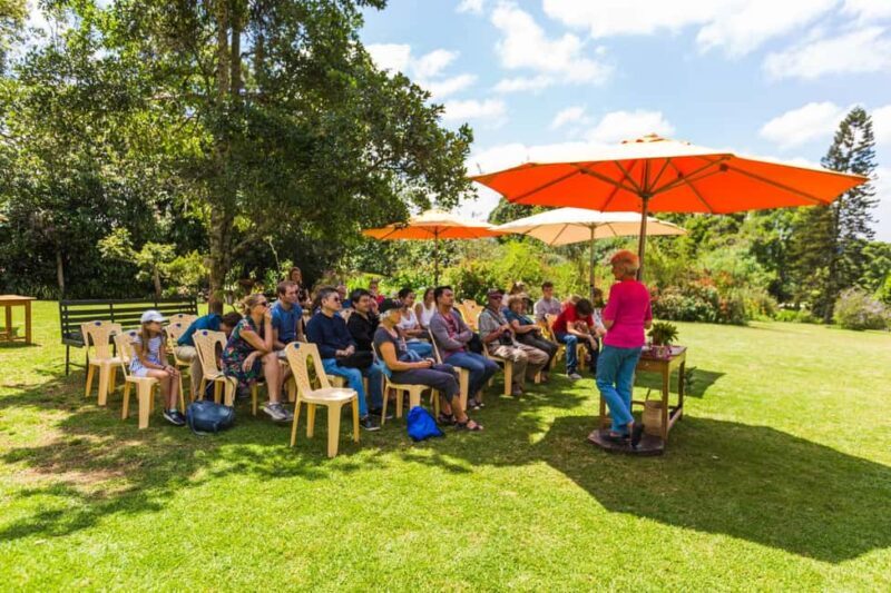 Day Tour to Kiambethu Tea Farm in Limuru - The Verandah View and Farm Lunch