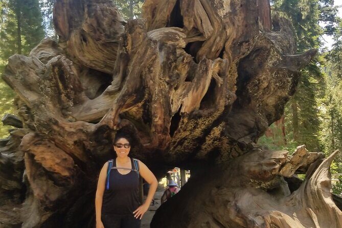 Day Tour to Kings Canyon National Park - A Complete Guide to the Kings Canyon Day Tour