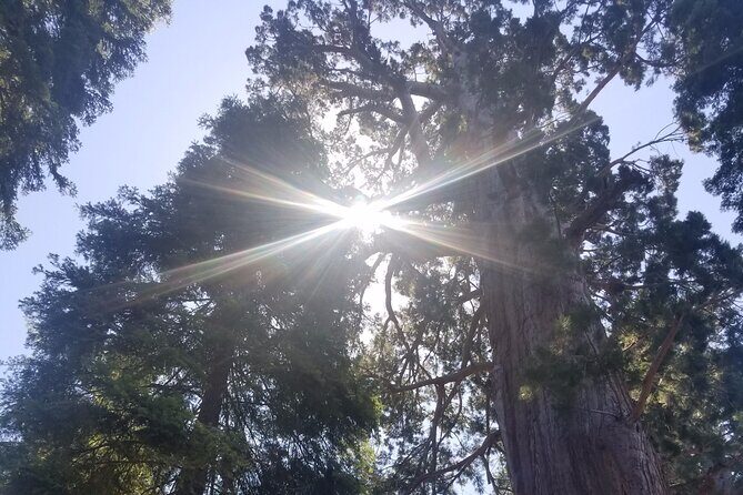 Day Tour to Kings Canyon National Park - The Sum Up