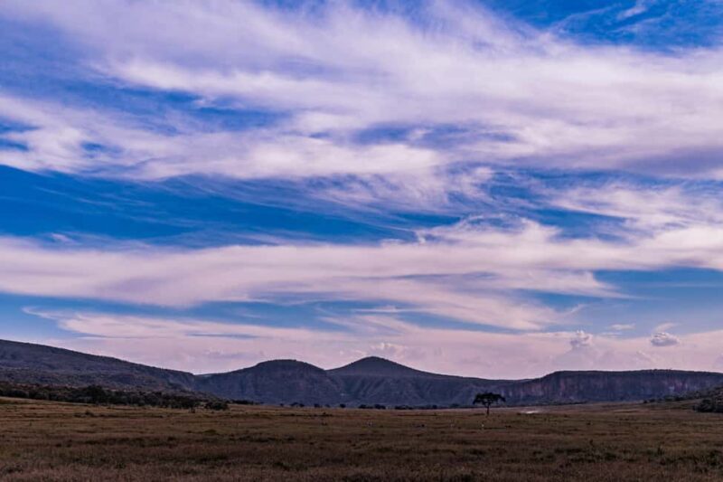 Day tour to Lake Naivasha and Hells Gate Park - Introduction
