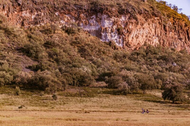 Day tour to Lake Naivasha and Hells Gate Park - What’s Included and What You Should Budget For