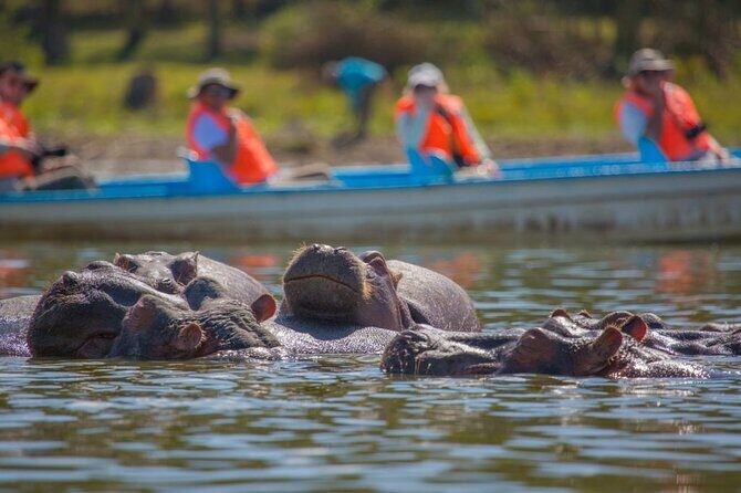 Day Tour to Lake Naivasha, Hell's Gate and Spa - Exploring Lake Naivasha