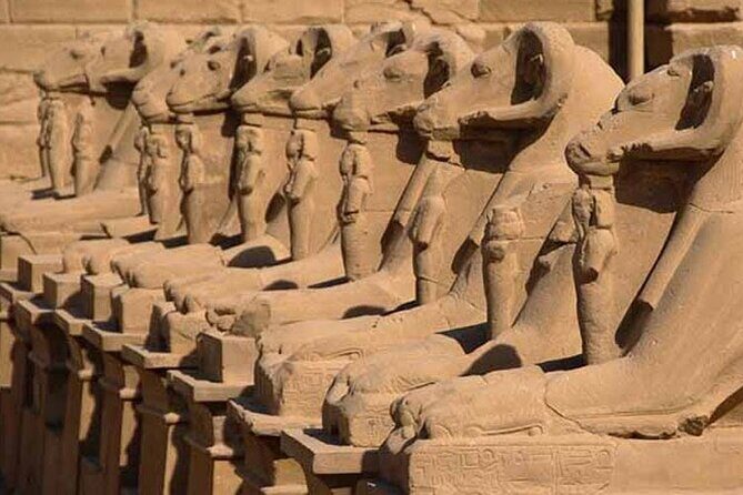 Day Tour To Luxor From Marsa Alam private by car - Overview of the Tour: What to Expect