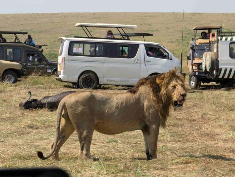 Day Tour to Maasai Mara Game Reserve from Nairobi. - Practical Tips for Your Day Trip