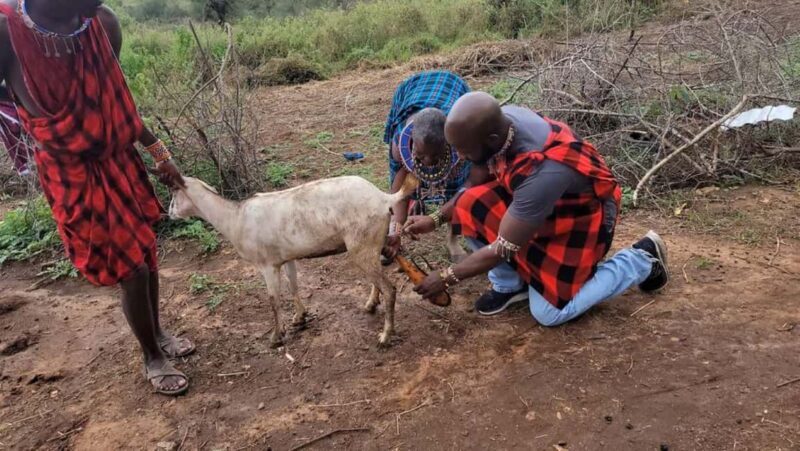 Day Tour to Masai Village From Nairobi - A Detailed Look at the Experience
