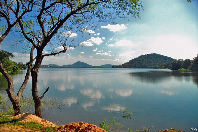Day tour to Minneriya National Park,Sigiriya & Dambulla from Kandy - The Sum Up