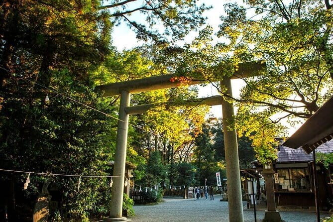 Day Tour to Miyazaki Takachiho Gorge & Shrine depart from Fukuoka - Discovering Japan’s Myth and Nature in One Day