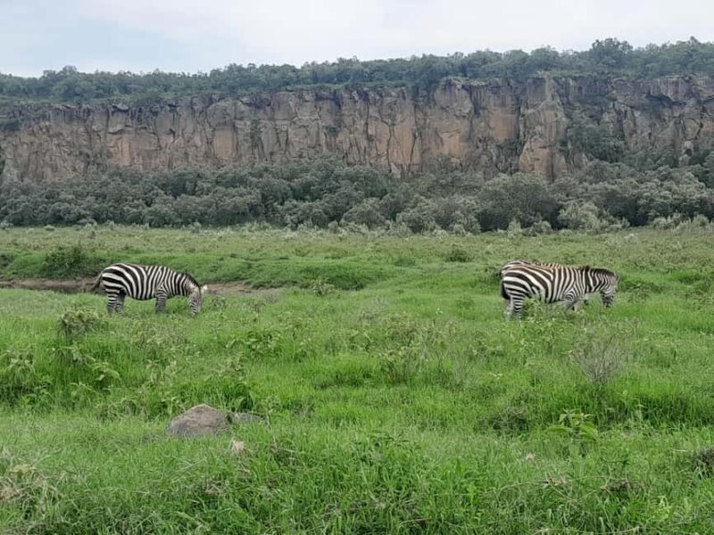 Day tour to Mount Longonot - Why This Tour Offers Great Value