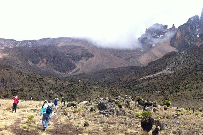 Day Tour To Mt. Kenya - Starting Early for a Big Day