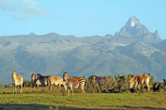 Day Tour To Mt. Kenya - Practical Considerations