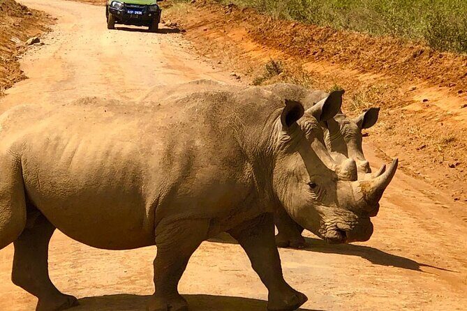 Day Tour to Nairobi National Park and Giraffe Center - Who Is This Tour Best For?