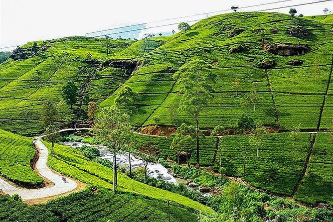 Day Tour to Nuwara Eliya from Kandy by Lux Tours Lanka - Introduction