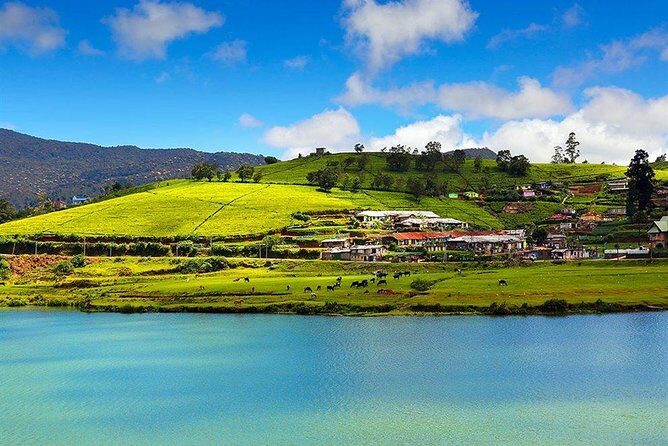 Day Tour to Nuwara Eliya from Kandy by Lux Tours Lanka - Key Points