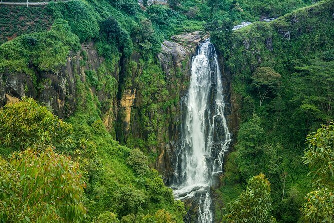 Day tour to Nuwareeliya (Little England) from Kandy - An In-Depth Look at the Tour Experience