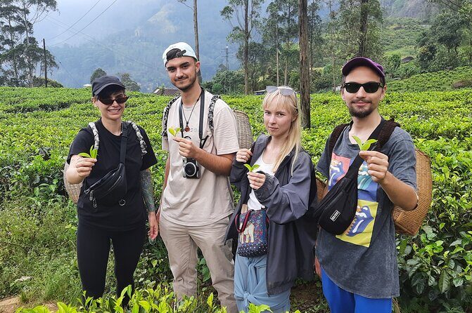 Day tour to Nuwareeliya (Little England) from Kandy - Who Would Benefit Most?