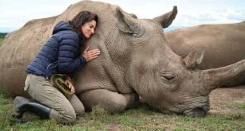 Day Tour to Ol-Pejeta Conservancy - Key Points