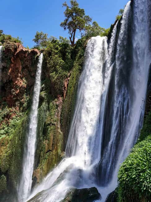 Day Tour to Ouzoud waterfalls with Boat Trip from Marrakech - A Detailed Look at the Day Tour to Ouzoud Waterfalls with Boat Trip from Marrakech