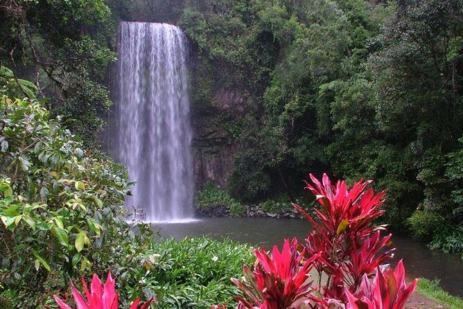 Day Tour to Paronella Park, Lake Barrine and Millaa Millaa Falls - Exploring the Itinerary in Detail