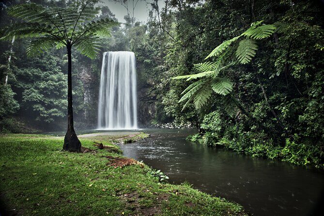 Day Tour to Paronella Park, Lake Barrine and Millaa Millaa Falls - FAQ