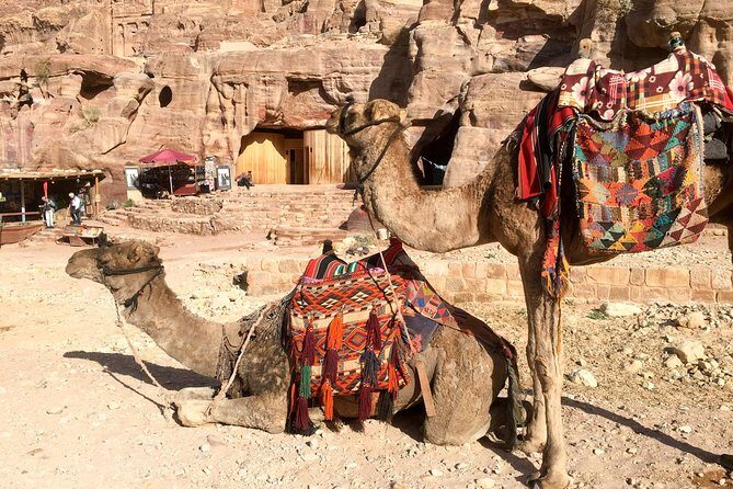 Day Tour to Petra from Aqaba - Introduction