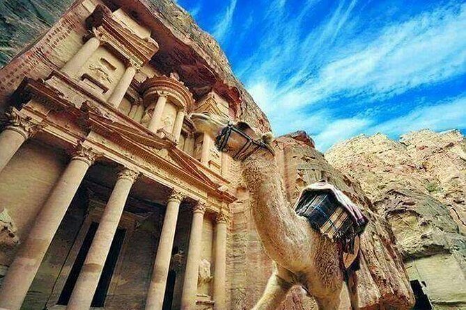 Day Tour To Petra From Dead Sea or Queen Alia Airport - A Comprehensive Look at the Petra Day Tour