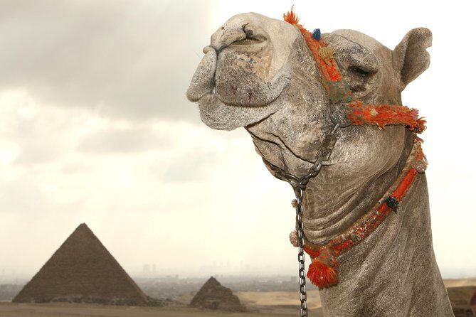 Day tour to Pyramids from Alexandria Port - Transportation, Timing, and Comfort