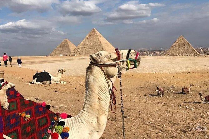 Day Tour To Pyramids With Camel Ride and Egyptian Museum - The Price and Value: Is It Worth It?