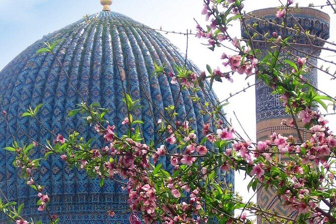 Day Tour to Samarkand from Tashkent by train. - The Experience: From Tashkent to Samarkand and Back