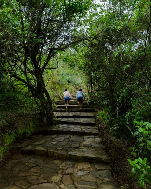 DAY TOUR TO SHIMBA HILLS NATIONAL RESERVE MOMBASA/ DIANI - Key Points