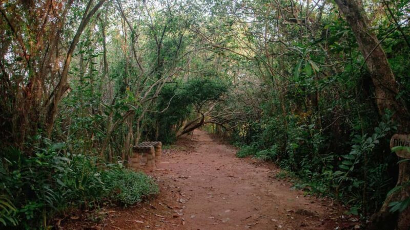 DAY TOUR TO SHIMBA HILLS NATIONAL RESERVE MOMBASA/ DIANI - FAQ