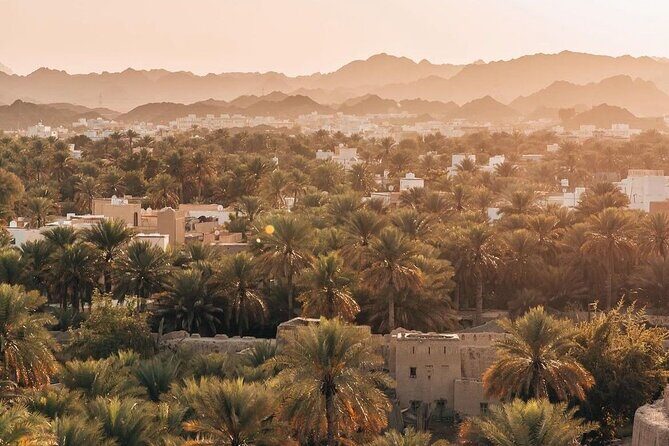 Day Tour to the Enchanting Forts of Nizwa - The Sum Up