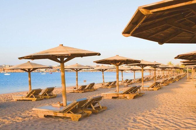 Day-Tour to the Red Sea from Cairo - Who Is This Tour Best For?